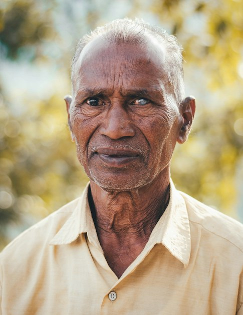 The Wisdom of 84 Years